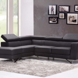 Big Leather Sofa